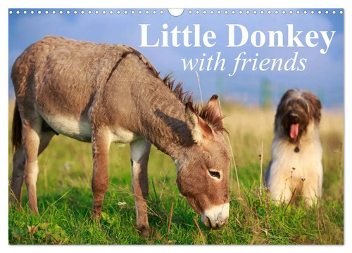 Little donkey with friends - donkey,