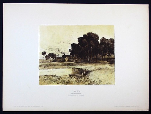 Hans wilt landschaft - wilt, landscape
