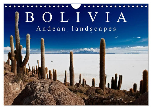 Bolivia andean landscapes - andean,