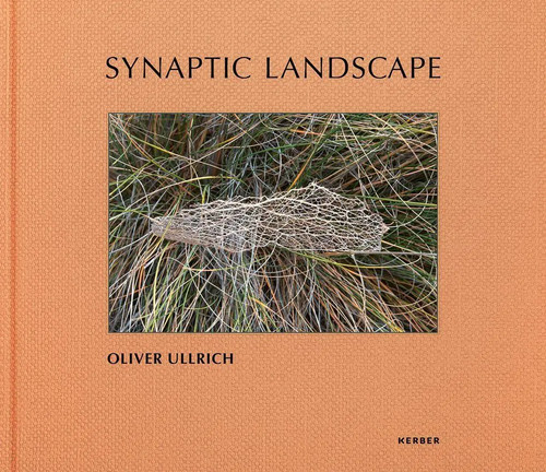 Oliver ullrich synaptic - oliver,