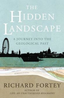 The hidden landscape a - the,