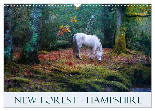 New forest hampshire - new,